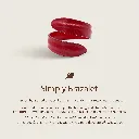 01. Carousel SB_RED_Meaning.webp