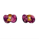 Beya Earrings