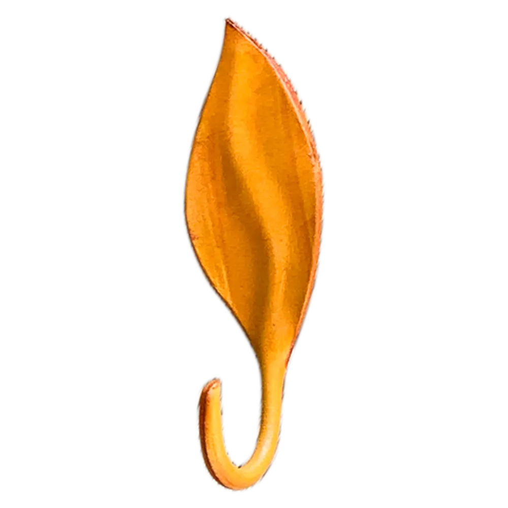 Leafy hook magnet