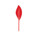 Leafy hook magnet