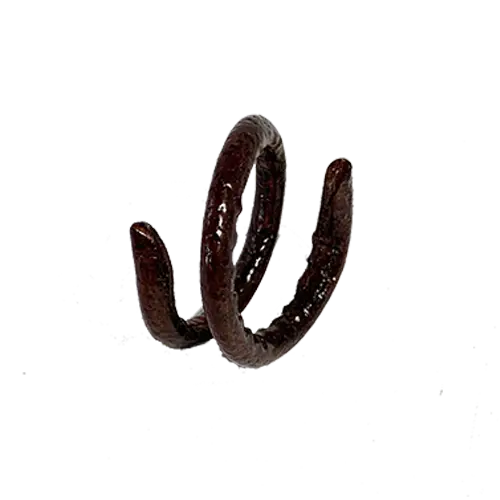 Coily Ring